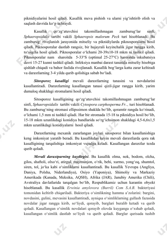 llik mevalarda qizg‘ish-qo‘ng‘ir rangdagi chuqur yaralar tarzida namoyon bo‘lib, atrofi yo‘g‘onlashadi. olxo‘ri va olcha mevalarining dog‘ hosil qilib zararlalgan qismi qurib qolishi natijasida danakgacha bo‘lgan hujayralar nobud bo‘ladi. kasallik dastlab kurtak va gullarda kuzatilsa, keyinchalik barglarlar va mevalarda boshlanadi. kasallikni deuteromycetes sinfining hyphomycetales tartibiga mansub, clasterosporium carpophilum (lev) adern. zamburug‘i keltirib chiqaradi. bu kasallikni qo‘zg‘atuvchi zamburug‘lar tuproqda konidiya va mitseliy holida qishlaydi. kasallikning infeksiya manbai sifatida kasallangan barg, novdalar va ular yoriqlarida saqlangan sporalar asosiy ahamiyatga ega. kasallikka qarshi kurashish uchun infeksiya manbaiga qarshi o‘z vaqtida tadbirlar o‘tkazilishi kerak. kasallangan novdalar kuzda qirqilishi, mevalarni terib olib tashlash, daraxtlar qator oralig‘iga to‘g‘ri va o‘z vaqtida ishlov berish, o‘g‘itlash, kurtak ochilgunga qadar, gullagandan keyin va uchinchi marta ikki haftadan keyin 1 % li bordo suyuqligi bilan 1 ga yerga 600 l miqdorda ishlov berish kerak. qora rak kasalligi olma, nokda kuzatilib, o‘simlik tanasini va novdalarini kasallantiradi. kasaylik alomatlari dastlab, daraxt tanasida qo‘ng‘ir-binafsha …