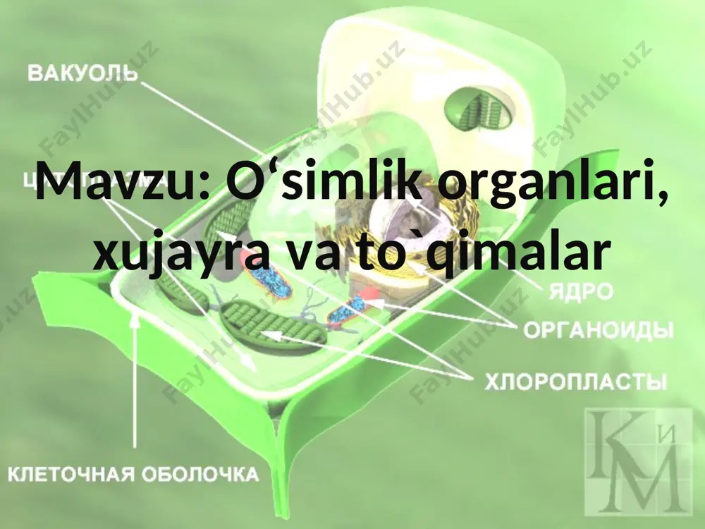 xshash muloxazalarni j. b. lamark (1809) r. dyutroshe (1824), g. mol (1831), p. f. goryaninov (1834), i. o. shixavskiy (1838) va boshqa olimlarning ishlarida ko’ramiz. xujayra nazariyasi nemis olimlari m. shleyden va zoolog t. shvan ishlarida uzil-kesil o’z ifodasini topdi. t. shvan (1838), ya. purkine va boshqa tabiatshunos olimlarning ishlariga tayangan xolda t. shvan (1839) xujayraviy tuzilish barcha tirik organizmlar uchun xos ekanligini isbotladi. shu tariqa xujayra nazariyasi yaratildi. deyarli qisqa vaqt ichida barcha tabiatshunos olimlar xujayra nazariyasini tan oldilar. lekin talab darajasidagi optikaning bo’lmasligi uzoq vaqt davomida xujayra strukturasi, uning aloxida qismlarining axamiyati xaqida to’liq tasavvurga ega bo’lishga imkon bermadi. xujayra xaqidagi taьlimotning keyingi taraqqiyoti mikroskop texnikasini takomillashtirish ilmiy izlanishlarning yangi yo’nalishlarini ishlab chiqish bilan bog’liq bo’ldi. * 19 asrning ikkinchi yarmidan boshlab xujayrani o’rganish o’zining xozirgi davriga o’tdi. endi xujayraning nafaqat tuzilishi va uning organlari, balki unda sodir bo’ladigan biologik va biokimyoviy jarayonlar o’rganila boshlandi. 19 asrning oxirida …