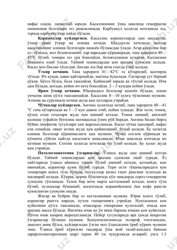 ташланади, бу ҳам куйдиргининг тарқалишига олиб келади. куйдирги касаллиги бизнинг шароитимизда молларнинг яйловда юриш даврига тўғри келади. чунки касаллик асосан қурғоқчилик ва кам ҳосиллик йилларда кузатилиб, алиментар ва трансмиссив йўл билан юқади. касаллик аэроген йўл билан ҳам юқиши мумкин. куйдирги йилнинг бошқа фаслларида ҳам баъзан учраб туради. бунда суяк-гўшт ёки зарарлаган ердан ўриб тўпланган ҳашаклар касаллик тарқатувчи омил бўлиб қолади. касалликнинг тарқалишига ер қазувчи кемирувчилар, сув ва шамол эрозияси, сув тошқинлари, сел ва табиатдаги бошқа офатлар ҳам сабаб бўлиши мумкин. патогенез. касалликнинг ривожланиш механизми қуйидагича бацилла жароҳатланган тери ва шиллиқ парда орқали организм тўқималарига тушгач, агрессин ва экзотоксин моддаларини ажратиб, жойлардаги ҳимоя қобилиятига тасир этади. кейинчалик лимфатик тугунлар ва қонга ўтади. организмда септицемия пайдо қилади. кислота ва ишқор тенглиги ўзгариб, қон қотмайдиган бўлиб қолади. мол нимжон бўлса, тез ўлиб қолади. микроб тери орқали тушса, касаллик карбункул ҳолатида кечади. кечиши ва клиник белгилари. куйдирги касаллиги қўйларда ташқаридан кўзга ташланмайдиган ва ташқаридан …