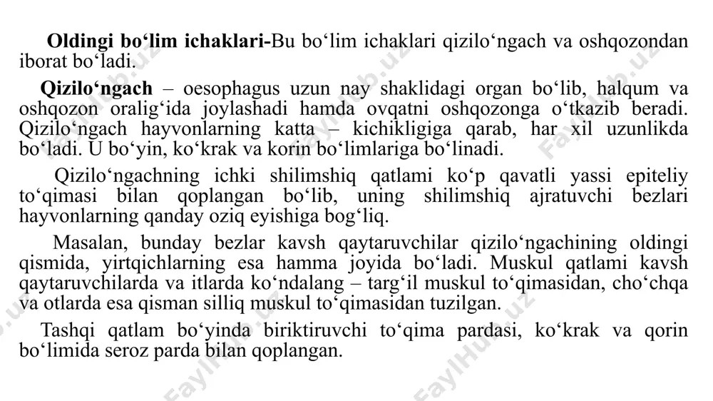 radi. oshqozon tuzilishiga qarab, bir kamerali va ko‘p kamerali bo‘ladi. bir kamerali oshqozon oddiy bir xaltachadan iborat bo‘lib, cho‘chqalar, bir tuyoqlilar, yirtqich hayvonlar va odamlarda uchraydi. uning ichki shilimshiq pardasi ba’zi hayvonlarda himoyalovchi ko‘p qavatli yassi epiteliy hujayralari bilan qoplangan bo‘lib. unda hech qanday bez bo‘lmaydi. bunday oshqozon sutemizuvchi hayvonlarda (exidna, o‘rdakburunda) uchraydi va qizilo‘ngach tipidagi oshqozon deyiladi. boshqa sutemizuvchilarning oshqozoni butunlay silindrsimon epiteliy hujayralari bilan qoplangan bo‘lib, uning hamma joyida bez bo‘ladi. bunday oshqozon o‘txo‘r hayvonlarda uchraydi va bezli ichak tipidagi oshqozon deyiladi. ko‘pchilik hayvonlarda oshqozonning bir qismi himoyalovchi ko‘p qavatli yassi epiteliy bilan, ikkinchi bir qismi esa silindrsimon epiteliy bilan qoplangan bo‘ladi. bunday oshqozon aralash, ya’ni qizilo‘ngach – ichak tipidagi oshqozon deyiladi, bunday oshqozon uy hayvonlari uchun xosdir. ko‘p kamerali oshqozon, asosan, o‘txo‘r hayvonlarda uchraydi va to‘rt bo‘limdan iborat bo‘ladi, bu bo‘limlar oldinma – keyin joylashadi. bunday oshqozon kavsh qaytaruvchi hayvonlarda, tuyada va shimol bug‘usida bo‘ladi. bu kameralarning …
