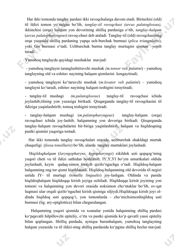 (m.levator veli palatini) – yumshoq tanglayni ko‘taradi, eshituv nayining halqum teshigini toraytiradi; - tanglay-til mushagi (m.palatoglossus) tanglay-til ravoqchasi ichida joylashib,tilning yon yuzasiga birikadi. qisqarganda tanglay-til ravoqchasini til ildiziga yaqinlashtirib, tomoq teshigini toraytiradi. - tanglay-halqum mushagi (m.palatopharyngeus) tanglay-halqum (orqa) ravoqchasi ichida joy-lashib, halqumning yon devoriga birikadi. qisqarganda tanglay-halqum ravoqchalarini bir-biriga yaqinlashtirib, halqum va hiqildoqning pastki qismini yuqoriga tortadi. har ikki tomonda tanglay ravoqchalari orasida, uchburchak shakldagi murtak chuqurligi (fossa tonsillaris) bo‘lib, ularda tanglay murtaklari joylashadi. hiqildoqhalqum (laryngopharynx, hypopharyngx) xikildok usti qopqog‘ining yuqori cheti va til ildizi sathidan boshlanib, iy,y,yi bo‘yin umurtkalari oldida joylashadi, keyin qadaq-simon torayib qizilo‘ngachga o‘tadi. hiqildoq-halqum halqumning eng tor qismi hisoblanadi. hiqildoq-halqumning old devorida til negizi ustida iy- til murtagi (tonsilla lingualis) joy-lashgan. oldinda va pastda hiqildoqhalqum hiqildoqqa kirish joyiga ochiladi. hiqildoqqa kirish joyining yon tomoni va halqumning yon devori orasida noksimon cho‘ntaklar bo‘lib, ov-qat luqmasi ular orqali qizilo‘ngachni kirish qismiga siljiydi.hiqildoqqa kirish joyi ol-dinda hiqildoq usti qopqog‘i, …