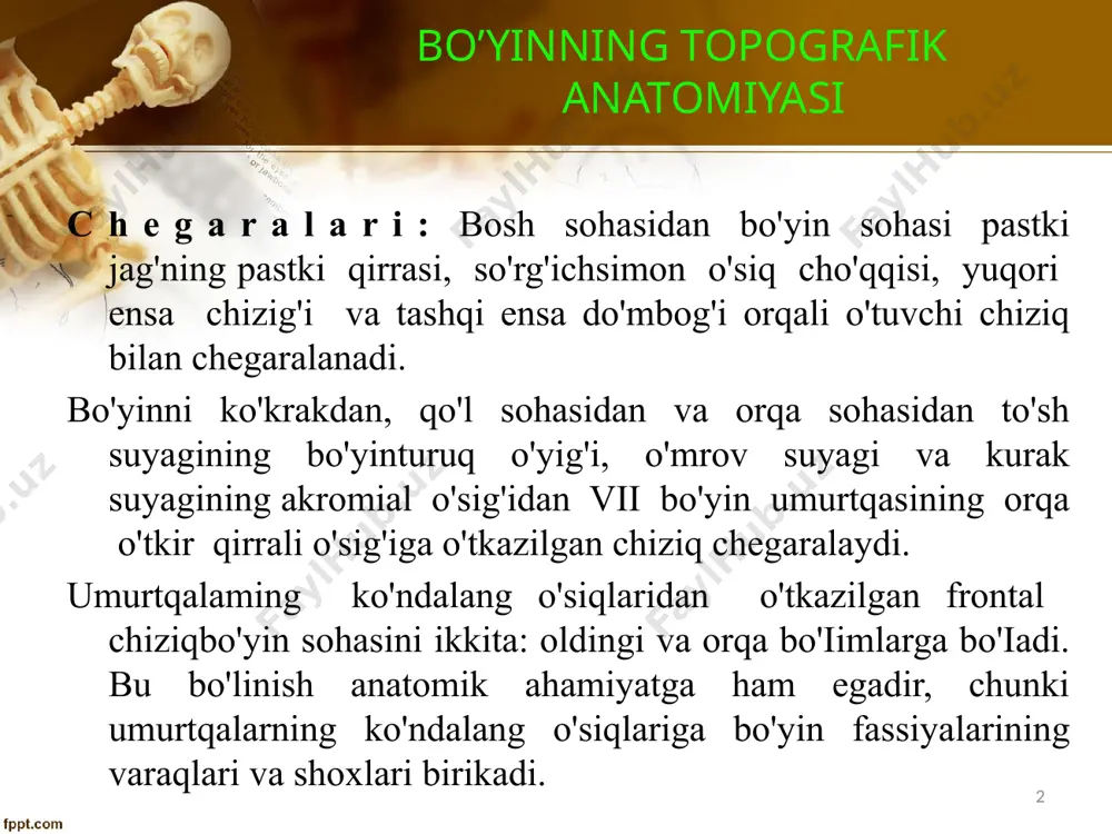 bo'linadi: 1) jag' osti uchburchagi (trigonum submandibulare, s. regio submandibularis); uni pastki jag'ning pastki qirrasi va ikki qorinchali mushakning ikkala qorinchasi che-garalaydi. bu uchburchak jag' osti so'lak bezi va jag' osti limfa tugunlari joylashgan yerga to'g'ri keladi; 2) uyqu uchburchagi (trigonum caroticum) uyqu arteriyasiga to'g'ri keladi va ikki qorinchali mushakning orqa qorinchasi, to'sh-o'mrov so'rg'ichsimon mushakining oldingi qirg'og'i, kurak-til osti mushakining yuqori qorinchasi bilan chegaralanadi. 4 boʻyin sohasi bo‘yin bo‘linadi: оldingi, yon, оrqa bo‘limlarga. sоhalar: til оsti ustki, til оsti оstki, to‘sh-o‘mrov-so‘rg‘ichsimon soha uchburchaklar: engak оsti, jag‘ оsti, til (pirоgоv) kurak-kеkirdak, uyqu, o‘mrоv-kurak, narvоnsimоn-umumrtqa trapеtsiyasimоn-kurak. trigonum submandibularis trigonum caroticum trigonum omotrapezoideum regio sternocleidomastoideus trigonum omotrahealis trigonum submentalis 5 chеgaralari: yuqоri va pastki. buyin tashqi uchburchagi \bo'yinning tashqi uchburchagi (trigonum colli laterale) sohasida ham ikkita uchburchak tafovut qilinadi, ular bir-biridan kurak-til osti mushakining pastki qorinchasi yordamida ajralib turadi: 1) yuqorigi - katta (trigonum omotrapezoideum) orqadan trapetsiyasimon mushak qirrasi, oldindan to'sh-o'mrov-so'rg'ichsimon mushaki bilan, …