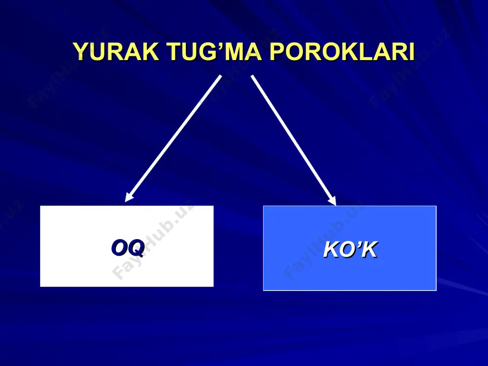 yurak tug’ma nuqsonlari-congenital heart disease - Page 4