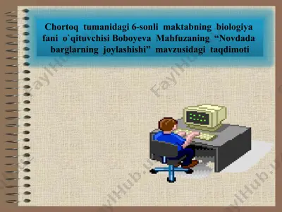 novdada barglarning joylashishi — PPTX