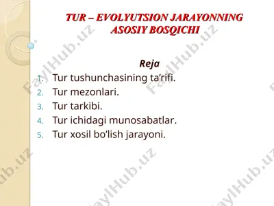 tur – evolyutsion jarayonning asosiy bosqichi — PPT