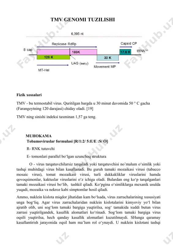meraza, harakat oqsili (mp) va kapsid oqsili (cp) deb nomlanadi. tmv genomi tuzilishi fizik xossalari tmv - bu termostabil virus. quritilgan bargda u 30 minut davomida 50 ° c gacha (farangeytning 120 darajasi) chiday oladi. [19] tmv ning sinishi indeksi taxminan 1,57 ga teng. muhokama tobamoviruslar formulasi [r/1:2/ 5:e/e :s/ o] · r- rnk tutuvchi · e- tomonlari parallel bo‘lgan uzunchoq struktura · o - virus tarqatuvchilarsiz tarqaladi yoki tarqatuvchisi no’malum o‘simlik yoki tashqi muhitdagi virus bilan kasallanadi. bu guruh tamaki mozaikasi virusi (tabacco mosaic virus), tomat mozaikasi virusi, turli dukkakliklar viruslarini hamda qovoqsimonlar, kaktuslar viruslarini o‘z ichiga oladi. bulardan eng ko‘p tarqalganlari tamaki mozaikasi virusi bo‘lib, tashkil qiladi. ko‘pgina o‘simliklarga mexanik usulda yuqadi, mozaika va nekroz kabi simptomlar hosil qiladi. · ammo, nuklein kislota miqdor jihatidan kam bo‘lsada, virus zarrachalarining xususiyati unga bog‘liq. agar virus zarrachalaridan nuklein kislotalarini kimyoviy yo‘l bilan ajratib olib, uni sog‘lom tamaki bargiga yuqtirilsa, sog‘ …