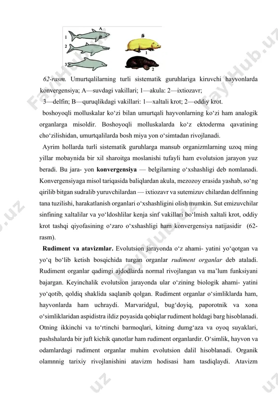 nish hodisasi tushuniladi. masalan, ahyon-ahyonda toychalar zebrasimon bo‘lib tug‘iladi. to‘riq otning orqasida xira yo‘l chiziqlari paydo bo‘lish hollari ham uchraydi. bular xonaki otning yovvoyi ajdodlari zebrasimon yo‘1-yo‘l terili bo‘lganligidan dalolat beradi. ba’zan sigirlarning yelinida uchinchi juft emchaklar paydo bo‘lishi mumkin. bu hod i sa sigirlar to‘rt juft emchakli yovvoyi ajdoddan kelib chiqqanligini ko‘rsatadi. paleontologiya — qazilma holdagi o‘simliklar, hayvonlar, zamburug‘lar va boshqa organizmlar to‘g‘risidagi fandir. organik olamning tarixiy rivojlanishini isbotlashda paleontologiya fanin ing dalillari muhim o‘rin egallaydi. biologiya fanida to‘plangan ma’lumotlar organik olam hozirgi ko‘rinishda birdaniga paydo bo‘lmay, balki uzoq davom etgan tarixiy rivoj lanish natijasi ekanligidan guvohlik beradi. insonlar yer yuzida paydo bo‘lmasdan oldin ham o‘simliklar, zamburug‘lar va hayvonlar yashagan. ularning ba’zilari o‘zgarib organik olam- ning hozirgi vakillarini hosil etgan bo‘lsalar, aksariyat ko‘pchiligi yashash uchun kurash, tabiiy tanlanishda qirilib ketgan va qazilma holda yerning turli qatlamlarida saqlanmoqda. biroq ularning hammasi emas. yumshoq tanaga ega bo‘lgan ko‘pchilik umurtqasizlar, tuban o‘simliklar, …