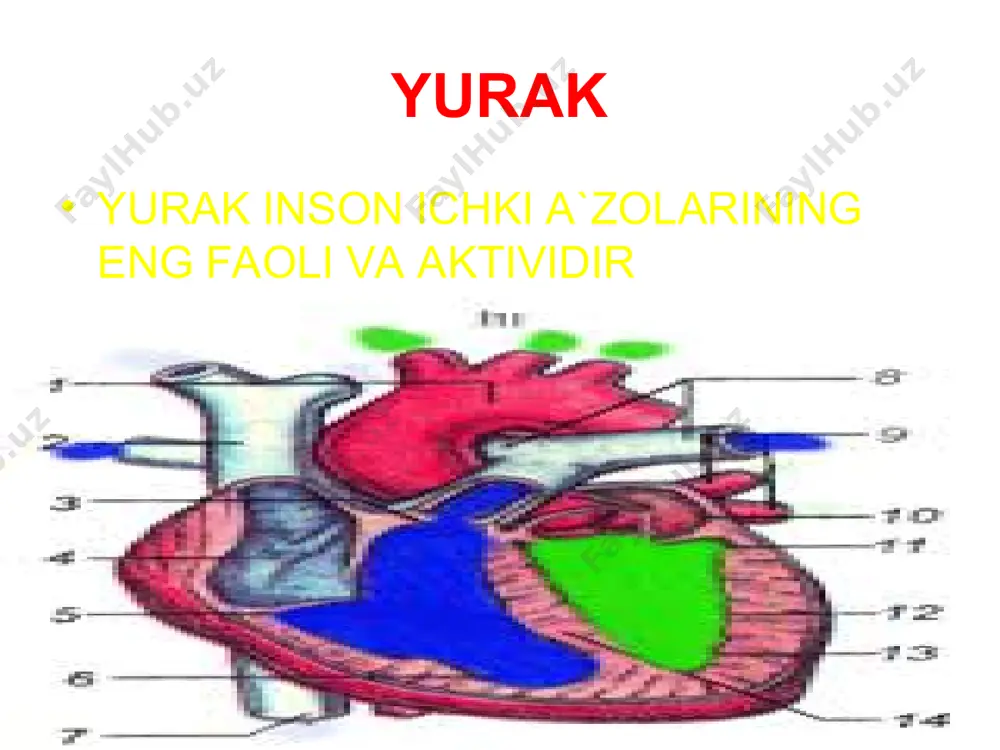 insondagi turli kasalliklar va ularning asoratlari - Page 5
