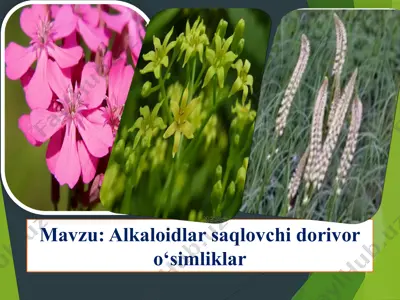 alkaloidlar saqlovchi dorivor o‘simliklar — PPTX