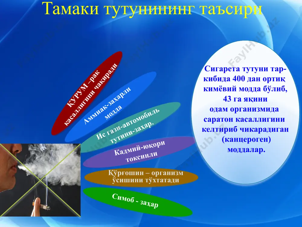 зарарли одатларсиз ҳаёт ва гиёҳванд моддаларсиз соғлом турмуш - Page 5
