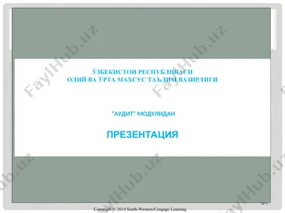 auditorlik tekshirishni rejalashtirish — PPT