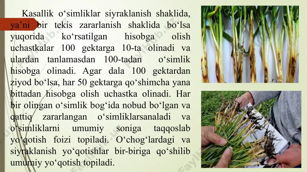 maniston va qozog‘istonga tarqaldi. e’tiboringiz uchun rahmat,. image1.png image2.jpeg image3.jpeg image4.jpeg image5.jpeg image6.jpeg image7.jpeg /docprops/thumbnail.jpeg