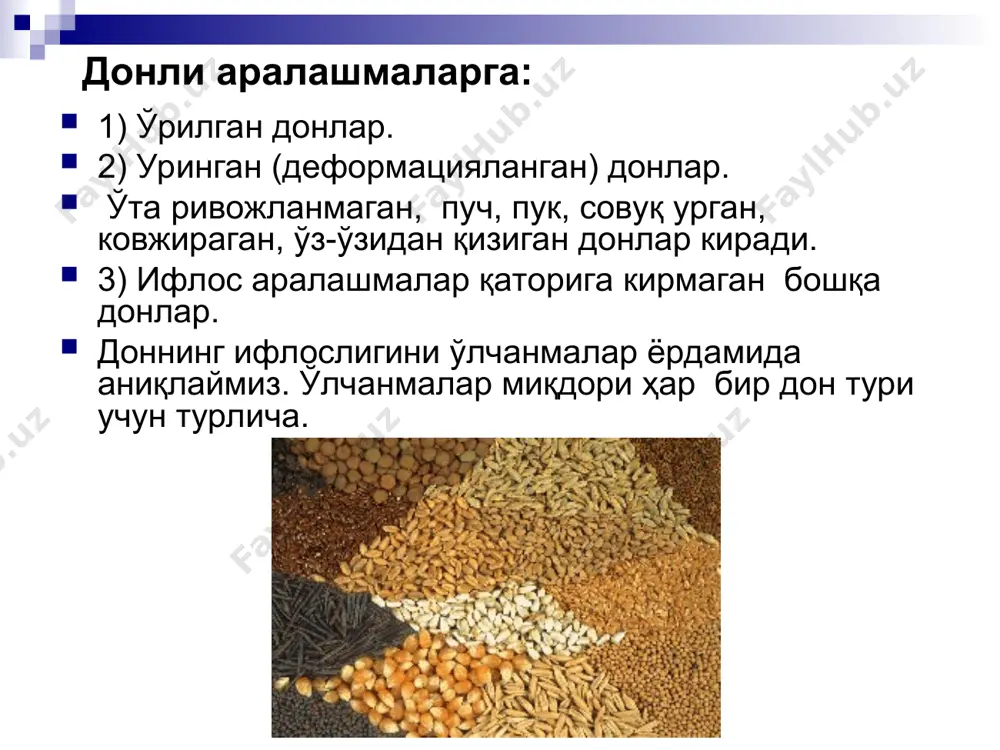 ҳолни доннинг нотекислиги деб изоҳлаш мақсадга мувофикдир. кичик донларнинг қиймати паст бўлади. биринчидан, дон парти­яларини тозалаганда, улар кичик аралашмаларга қўшилиб чикитга чиқади ва маҳсулот чикимини пасайтиради. иккинчидан, қобиқдор экинларнинг кичик донларида қобиқдор нисьатан яхши ривожланган очиқ донларда (голозерных) эса пўст яхши ривожланган бўлганлиги учун, уларда озиқ-моддалар жуда оз миқдорда бўлади. натижада, дон партияси муайён навдаги ун ёки ёрма олиш мақсадида қайта ишла­ганла, партиядаги кичик донлар яхши ўзилмайди, (ҳосилни йигган­да) ёки гул қобиғи билан бирга ўзилиб, қайта ишлаганда маҳсулот сифатини пасайтиради. кичик донлар эндоспермаси яхши ривожланма­гани учун экишга яроқсиз ҳисобланади, чунки у ёш ўсимликни таъ­минловчи озиқ моддаларга эга эмас. доннинг ҳажмийоғирлиги (натурал оғирлик) доннинг натурал ёки ҳажмий оғирлиги деганда муайян ҳажмдаги дон уюмининг оғирлик бирликларидаги ифодаси тушунилади. бизнинг мамлакатимиздаги ҳажми оғирлик бир мерт доннинг граммлардаги ёки бир гектометр доннинг килограммлардаги ифодасига тенгдир. ҳажмий оғирлик махсус асбоб, яъни литрли пуркада аниқланади. бизда ва кўпгина мамлакатларлда 1 литрли ёки 20 литрли пуркалар қўлланилади. …