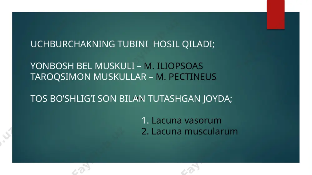 son uchburchagi - Page 4