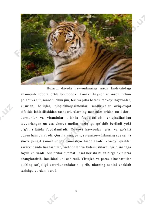 ni kamayib ketish sabablari. yer sharida hayvonlarning turini, miqdorini va arealini o'zgarishi tabiiy holda va insonning xo'jalik faoliyati ta'sirida ro'y beradi. tabiiy geografik omillar (vulkanlarning otilishi, suv va muz bosishi, bo'ron,jala, sel bo'lishi, territoriyaning qattiq sovib yoki isib ketishi, kuchli yog'in va qo'g'oqchilikning bo'lishi va b.q.) ta'sirida hayvonlarning o'lishi va areallari qisqarishi mumkin. lekin tabiiy omillar ta'sirida hayvonlarning turini, miqdorini va arealni o'zgarishi juda sekin bo'ladi. insonning hayvonlarga ko'rsatayotgan ta'sir doirasi jamiyat taraqqiy etgan sari kengayib bordi. ayniqsa, feodalizm davrida va kapitalizm jamiyatida hayvonlarga yirtqichlarcha ta'sir etilgan. natijada hozirgi kunga kelib, insonning ta'sirida dunyo bo'yicha hayvonlarning 600 ga yaqin turi, jumladan sut emizuvchilarning 120 turi, qushlarning 150 turi yo'q qilindi. bugun dunyo doimiy ravishda yangi texnologiyalarni yaratmoqda, shaharlar, fabrikalar, uylar qurilmoqda. buning uchun tabiat bergan materiallardan foydalaning. hayot uchun kurashda ko'plab hayvonlar va o'simliklar odamga yutqazadi. buning oqibati ularning ba'zi navlarining yo'qolishidir. agar ular uchun himoya yaratmasangiz, ular butunlay yoʻq …
