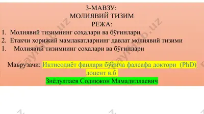 moliyaviy tizim — PPTX