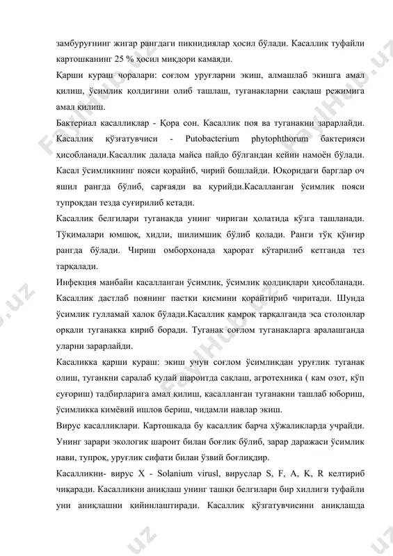 си тупроқдан тезда суғирилиб кетади. касаллик белгилари туганакда унинг чириган ҳолатида кўзга ташланади. тўқималари юмшоқ, хидли, шилимшиқ бўлиб қолади. ранги тўқ қўнғир рангда бўлади. чириш омборхонада ҳарорат кўтарилиб кетганда тез тарқалади. инфекция манбайи касалланган ўсимлик, ўсимлик қолдиқлари ҳисобланади. касаллик дастлаб поянинг пастки қисмини қорайтириб чиритади. шунда ўсимлик гулламай халок бўлади.касаллик камроқ тарқалганда эса столонлар орқали туганакка кириб боради. туганак соғлом туганакларга аралашганда уларни зарарлайди. касаликка қарши кураш: экиш учун соғлом ўсимликдан уруғлик туганак олиш, туганкни саралаб қулай шароитда сақлаш, агротехника ( кам озот, кўп суғориш) тадбирларига амал қилиш, касалланган туганакни ташлаб юбориш, ўсимликка кимёвий ишлов бериш, чидамли навлар экиш. вирус касалликлари. картошкада бу касаллик барча хўжаликларда учрайди. унинг зарари экологик шароит билан боғлик бўлиб, зарар даражаси ўсимлик нави, тупроқ, уруғлик сифати билан ўзвий боғлиқдир. касалликни- вирус х - solanium virusl, вируслар s, f, a, k, r келтириб чиқаради. касалликни аниқлаш унинг ташқи белгилари бир хиллиги туфайли уни аниқлашни қийинлаштиради. касаллик …