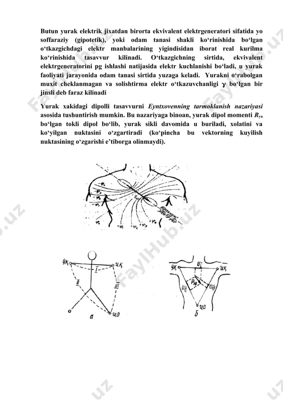elektrografiyani o'rganish - Page 5