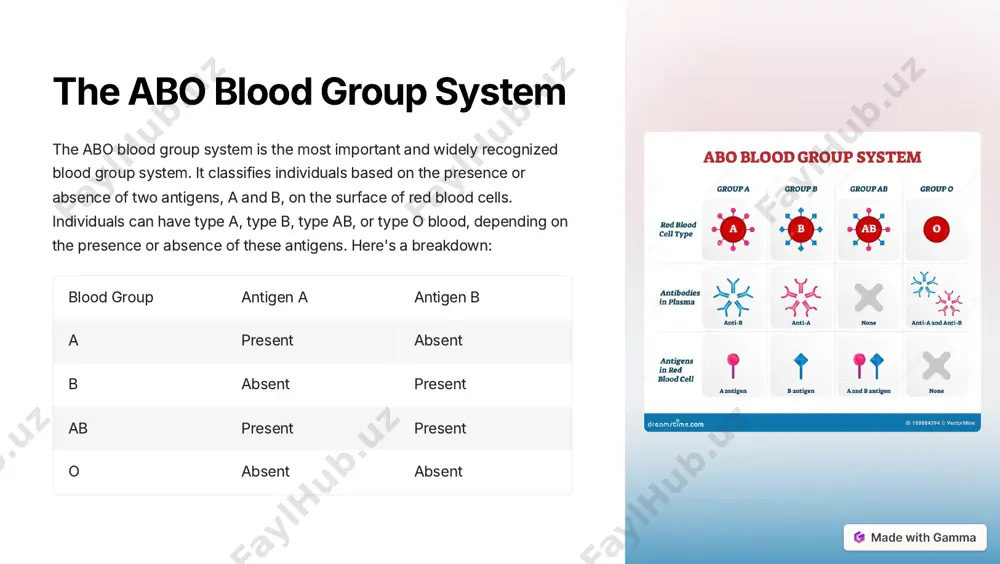 blood group determination - Page 3