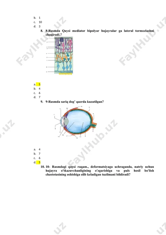 rasmdagi ganglioza bo‘lgan tuzilmalar - Page 4