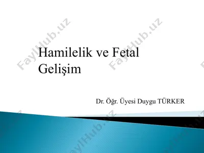 embriyonik gelişim ve hamilelik — PDF