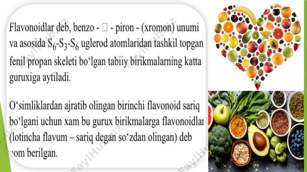 flavonidlar va ularni o’simliklardan ajratib olish texnologiyasi - Page 4