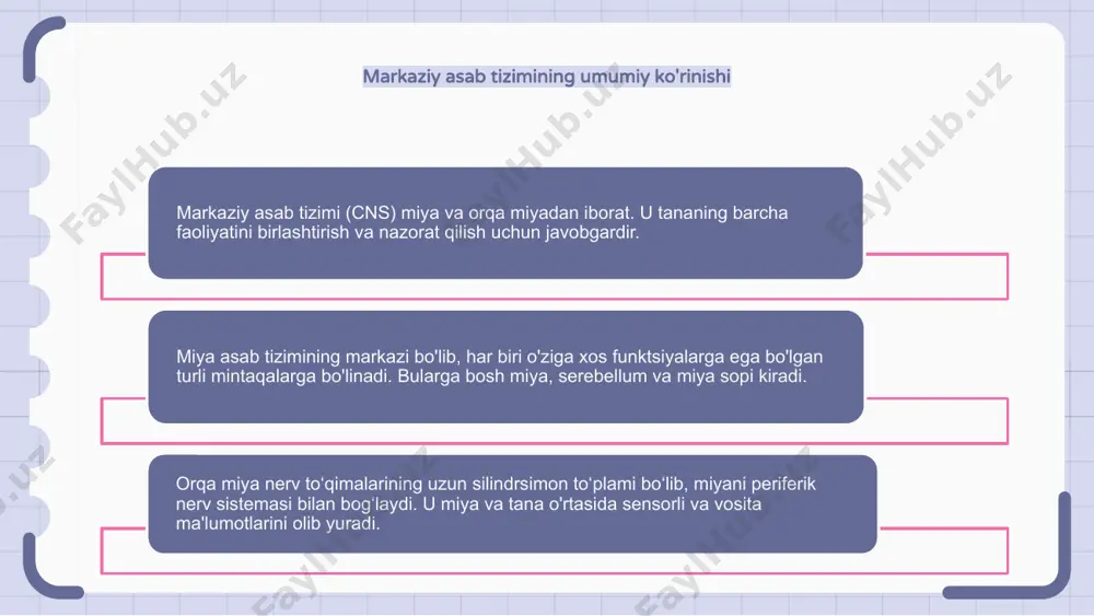 u hissiy tizimlar va miya yarim korteksidan ma'lumotlarni oladi va bu ma'lumotni vosita buyruqlarini modulyatsiya qilish uchun birlashtiradi. serebellumning shikastlanishi ataksiyaga, muvofiqlashtirishning etishmasligiga va nozik motorli ko'nikmalarga olib kelishi mumkin. orqa miyaning reflekslardagi funktsiyalarini tushunish orqa miya reflekslarda hal qiluvchi rol o'ynaydi, bu sensorli ogohlantirishlarga avtomatik va tez javob beradi. u tanadan sensorli ma'lumotlarni oladi va tezkor reaktsiyalar uchun miyani chetlab o'tib, vosita buyruqlarini qaytarib yuboradi. orqa miyaning reflekslardagi asosiy funktsiyalaridan biri kiruvchi sezgi ma'lumotlarini chiquvchi vosita buyruqlari bilan muvofiqlashtirish va birlashtirishdir. muayyan stimullarga javoban tegishli mushaklarning faollashishini ta'minlovchi rele stantsiyasi vazifasini bajaradi. bundan tashqari, orqa miya mushaklarning ohangini tartibga solishga va postural barqarorlikni saqlashga yordam beradi. u muskullar va bo'g'imlarning holati to'g'risida miyaga uzluksiz fikr-mulohazalarni beradi, bu harakatlarni nozik sozlash va tanani to'g'ri boshqarishni ta'minlaydi. avtonom nerv sistemasi va uning vazifalari avtonom nerv tizimi yurak urishi, ovqat hazm qilish va nafas olish kabi tanadagi majburiy funktsiyalarni boshqarish uchun javobgardir. …