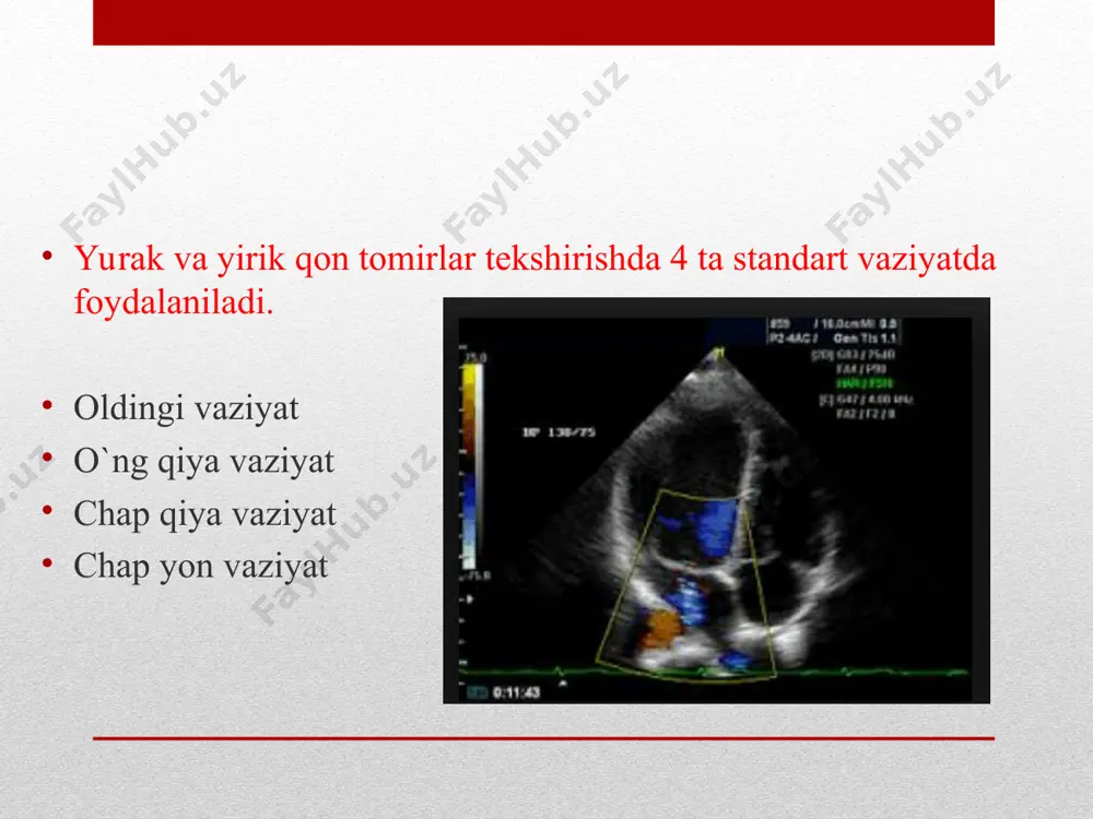 yurak va yirik qon-tomirlar kasalliklarining kompleks nur diagnostikasi - Page 3