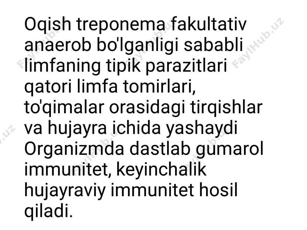 zaxm prezintatsiya - Page 5