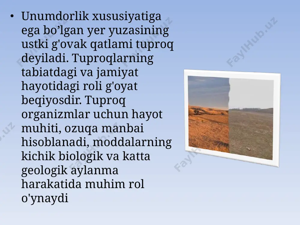 uchun zarur bo’lgan barcha oziq mahsulotlari va ko’plab boshqa vositalarni bevosita yoki bilvosita tuproqdan oladi. yer yuzidagi hozirgi mavjud tuproq qatlami jamiyat taraqqiyoti natijasida kuchli o'zgargan. insoniyat tarixi davomida 2 mlrd. dan ortiq unumdor tuproqli yerlar yaroqsiz holga keltirilgan. har yili sayyoramizdagi qishloq xo'jaligi uchun yaroqli yerlar maydoni sho'r bosishi, emirilishi natijasida 5-7 mln.gektarga kamaymoqda. tuproqlarga inson ta'si-rining kuchayishi sug'oriladigan dehqonchilik va chorvachilikning rivojlanishi bilan bog"liq. sug'oriladigan (obikor) dehqonchilik movarounnahrda ham qariyib 5 ming yillik tarixga ega. yer yuzida dehqonichilik maqsadlarida ishlatiladigan yerlar mavjud yerlar hududining 10 foizini tashkil qiladi va dunyo aholisi jon boshiga 0,5 ga dan to'g"ri keladi. yer yuzi tuproq qatlamining hozirgi holati birinchi navbatda kishilik jamiyatining faoliyati bilan belgilanadi. inson tuproqlarga ijobiy va salbiy ta'sir ko'rsatadi. inson tuproqlarning hosildorligini oshirishi, yerlarning holatini yaxshilashi mumkin. shuning bilan birga shahar qurilishi, atrof muhitning ifloslanishi, agrotexnik tadbirlarning talabga javob bermasligi natijasida tuproqlar bevosita yo'q qilinishi, yaroqsiz holga kelishi, emirilishi …