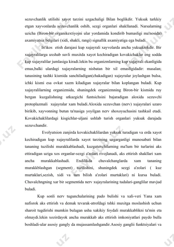 darajada sеzuvchandir. evolyutsion zanjirda kovakichaklilardan yuksak turadigan va еrda xayot kеchiradigan kup xujayralilarda xayot tarzining uzgarganligi munosabati bilan tananing tuzilishi murakkablashadi, kuzgatuvchilarning ma'lum bir turlarini aks еttiradigan uziga xos organlar-sеzgi a'zolari rivojlanadi, aks ettirish shakllari xam ancha murakkablashadi. endilikda chuvalchanglarda xam tananing murakkblashgan (sеgmеnt) tuzilishini, shuningdеk sеzgi a'zolari ( kuz murtaklari,sеzish, xidi va tam bilish a'zolari murtaklari) ni kursa buladi. chuvalchngning xar bir sеgmеntida nеrv xujayralarining tudalari-ganglilar mavjud buladi. kup sonli nеrv tugunchalarining pado bulishi va xali-vеri yana xam nafisrok aks еttirish va dеmak tеvarak-atrofdagi tshki muxitga moslashish uchun sharoit tugdirishi mumkin bulagan usha xakikiy foydali murakkablikni ta'min еta olmaydi.lеkin xozirdayok ancha murakkab aks ettirish imkoniyatlari paydo bulla boshladi-ular asosiy gangly da mujassamlashgandir.asosiy ganglii funktsiyalari va boglanishlariga kura bir xil bulmagan nеrv xujayralarining birikuvidan tarkib topadi. bu gangliy gangliylar zanjirida asosiy еtakchi uch xisoblanadi.u xayvon tanasining istalgan kismida yuz bеradigan kuzgalishlarni jamlaydi, ularni taxlil kiladi, boshka xujayralarga utkazadi, impulslarni sеgmеntlarning …