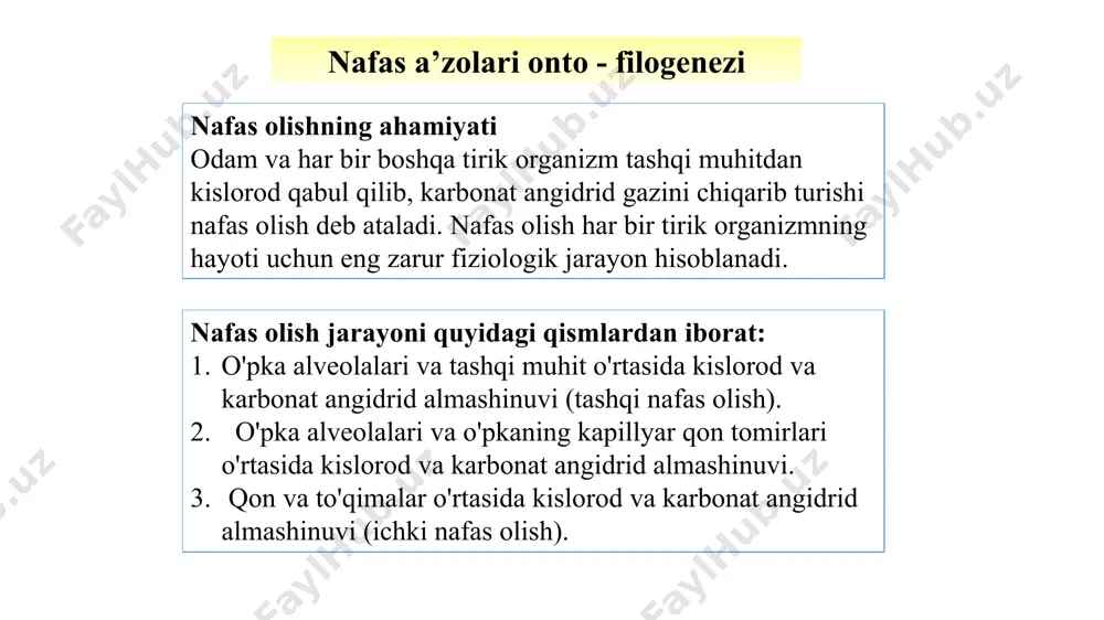 minlaydigan neyronlar bor. ammo uzunchoq miya bugunligicha salanib qolsa, uning yuqorida yotgan bosh miya bo’limlari bilan, xususan miya po’stlog’i bilan aloqa buzilsa, nafas ham izdan chiqadi. nafas xarakatlari reflektor yo’li bilan boshqariladi. tanamizning boshqa qismlari tasvirlanganda ham nafas reflektor ravishda o’zgaradi. masalan: cho’milish vaqtida so’vuqga chopish nafasni kiska vaqt to’htab qolishiga sabab bo’ladi. hiqildok nervi uchlarining nafas yullarida chang yoki shilimshik bilan ta’sirlanishi yo’talga sabab bo’ladi. burun – halqumning chang yoki shilimshik bilan ta’sirlanishi aks o’rishga sabab bo’ladi. sog’lom organizmda nafas oraliq miya po’stlogi ishtirokida boshqarilib boradi. katta yoshli odam va katta yoshli bolalar o’z ixtiyori bilan nafas tezligini va chuqurligini o’zgartirishi mumkin. bundan tashqari, nafas tezligi uning emosional xolatiga bog’lik bo’ladi. bosh miya katta yarim sharlarining peshona bo’laklarini ta’sirlash nafas xarakatlarining o’zgarishiga sabab bo’ladi. sportchida start oldidan, o’quvchining ekzamen oldidan, ishchini mexnat jarayoni boshlanishi oldidan nafasini tezlashishi ham shartli refleksdir. nafas olish gigienasi deganda to’g’ri nafas olishni ta’minlash tushuniladi. …