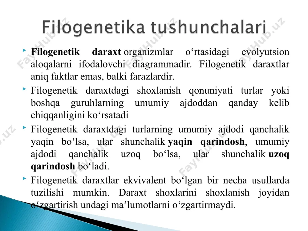 sensus tarmoqlari, [4] super tarmoqlar usullari yoki gibridizatsiya yoki oddiy rekombinatsiya tarmoqlarini hisoblash usullari kabi nashr etilgan usullarni qo'llaydi . u nexus fayl formatidan foydalanadi . splits grafigi maxsus ma'lumotlar bloki (splits bloki) yordamida aniqlanadi. dendroskop interaktiv hisoblanadi kompyuter dasturlari yozilgan dastur java uchun ko'rish filogenetik daraxtlar.[1] ushbu dastur har xil o'lchamdagi daraxtlarni ko'rish uchun mo'ljallangan va raqamlar yaratish uchun juda foydali. bu daniel huson va uning hamkasblari tomonidan ishlab chiqilgan. dendroskop: (a) dumaloq kladogramma, (b) radial filogramma, (c) to'rtburchaklar shaklli filogramma va (d) qiya kladogramma ko’rinishlarida bo’lishi mumkin a filogenetik tarmoq har qanday grafik evolyutsion munosabatlarni tasavvur qilish uchun ishlatiladi (ham) mavhum ravishda yoki aniq)[1] o'rtasida nukleotidlar ketma-etligi, genlar, xromosomalar, genomlar, yoki turlari.[2] kabi retikulyatsiya hodisalari yuz berganda ular ishlaydi duragaylash, gorizontal genlarning uzatilishi, rekombinatsiya, yoki genlarning takrorlanishi va yo'qotish bilan bog'liq deb hisoblashadi. ular farq qiladi filogenetik daraxtlar boy bog'langan tarmoqlarni aniq modellashtirish yo'li bilan, faqat daraxt tugunlari …