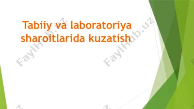 tabiiy va laboratoriya sharoitlarida kuzatish — PPTX