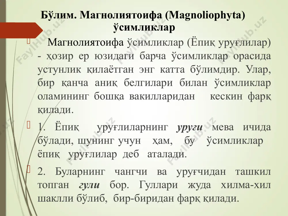 idae синф. магнолиясимонлар – magnoliopsida -гулли ўсимликларнинг энг қадимгиси - ҳаётий шакли – асосан, дарахт ва бута - гуллари, асосан икки жинсли - гулқўрғони мураккаб - муртаги 2 уруғпаллали синф. магнолиясимонлар- magnoliopsida магнолиясимонлар - гулли ўсимликларнинг келиб чиқиши жиҳатидан содда тузилишга эга бўлган ёпиқ уруғли ўсимликлардир. ҳаётий шаклига кўра, дарахт ва бута. оила: магнолиядошлар-magnoliaceae оила вакилларининг 12 туркумга мансуб 240 га яқин тури бор. улар доим яшил ёки баргларини тўкувчи дарахт ва буталардан иборат. барглари навбат билан ўрнашган, оддий. эфир мойи ишлаб чиқарувчи ички безчалари бор. оила: магнолиядошлар-magnoliaceae гуллари актиноморф, икки жинсли, гулўрни чўзиқ. гулқўрғон бўлаклари 8-12 та оқ, сариқ, пушти ранг: спирал, баъзан доира ҳосил қилиб ўрнашган. чангчи ва уруғчилари кўп. ҳашоратлар ёрдамида чангланади. оиланинг икки туркуми магнолия ва лола дарахти республикамизда манзарали ўсимлик сифатида ўстирилади. улар, асосан жануби – шарқий осиёнинг ва шимолий американинг ўрмонларида тарқалган. бўлим: магнолиятоифа ўсимликлар –magnoliaphyta синф: магнолиясимонлар-magnoliopsida қабила: магнолияномалар-magnoliales оила: магнолиядошлар-magnoliaceae туркум: магнолия-magnolia …