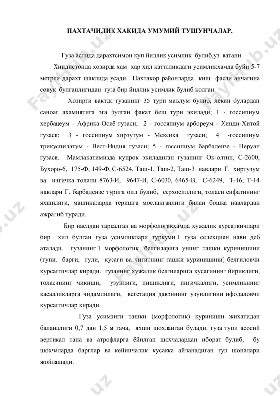 охчаларда барглар ва кейинчалик кусакка айланадиган гул шоналари жойлашади. экилган чигит униб чиккач, тахминан 10 кун утгандан сунг биринчи барг пайдо булади. вегетация даврида 5-8 барг пайдо булгач, танадаги барглар култигида аввало моноподиал (усув) куртаги, сунгра симподиал (хосил) куртаклари пайдо булиб, гуза нормал шохлана бошлайди. районлаштирилган ингичка толали гузаларнинг купчилигида хосил шохлари булмай, уларнинг кусаклари (1...3 ва ундан ортик) бош танадаги барглар култигида усганхосил шохида жойлашган булади. гуза униб чиккандан кейин 45...50 кун утгач шоналаш ва яна 25...35 кун утгач гуллаш бошланади. гузанинг кусаги эса шундан яна 45...60 кун утгач очила бошлаб, пахтанинг умумий етилиш даври унинг турига караб 100...160 кун давом этади. гузанинг кусаги шар шаклида ёки узунлиги 60 мм ва энг катта диаметри 50 мм булган тухум шаклида булиб, унинг ичида 5...7 г урта толали пахта ёки 3...5 г ингичка толали пахтаси булади. пахтанингхар чигитида 7...15 минг дона тола усади. пахта толасининг ривожланиши икки даврга булинади: биринчи даври …