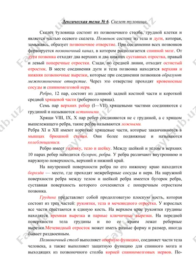skelеt tuvovişi — DOCX