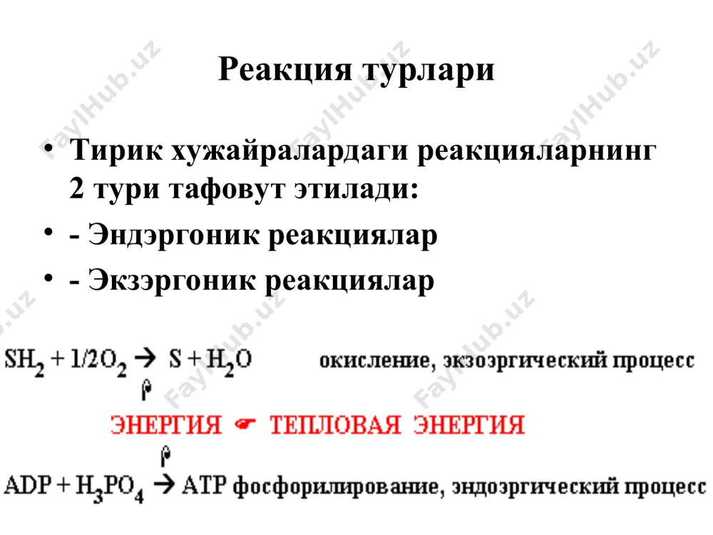 3 – +0,55, о2 - +0,82v. митохондрияларда жойлашган нафас олиш занжири тўлиқ, қисқарган ва қисқа бўлиши мумкин. тўлиқ нафас олиш занжири: sh2--над---фп---коq---b---c1(c)---a(a3)---1/2o2---h2o. р/о=3. над-боғлиқ бўлган дегидрогеназаларга киради: альфа-кетоглутарат, изоцитрат, малат, пируват, глутамат ва бошқалар. улар ўзининг протон ва электронларини над+ беради. бунда 3 молекула атф синтезланади. қисқартирилган нафас олиш занжири. унинг асосий субстратлари: сукцинат, глицерин, ёғ кислоталари ва бошқалар. улар ўзларининг протон ва электронларини фп беришади. бунда 2 молекула атф синтезланади. sh2---фп---коq---b---c1(c)----a(a3)----1/2o2----h2o. р/о=2. қисқа нафас олиш занжири. фп дан протон ва электронлар кислородга ўтказилади ва водород пероксид хосил бўлади. водород пероксид токсик модда бўлиб, каталаза иштирокида кислород ва сувгача парчаланади. бунда атф синтезланмайди. sh2---фп---o2----h2o2 н2о2+1/2о2___н2о + о2 . р/о=0. атф синтези учун 0,22v ёки 7,3 ккал энергия зарур. тўлиқ нафас олиш занжирида бу 3 жойда хосил бўлади: 1. над+ ва фад+ орасида 2. цитохромлар b ва с орасида 3. цитохромоксидаза ва о2 орасида. қисқартирилган нафас олиш занжирида биринчи фосфорилланиш жойи …
