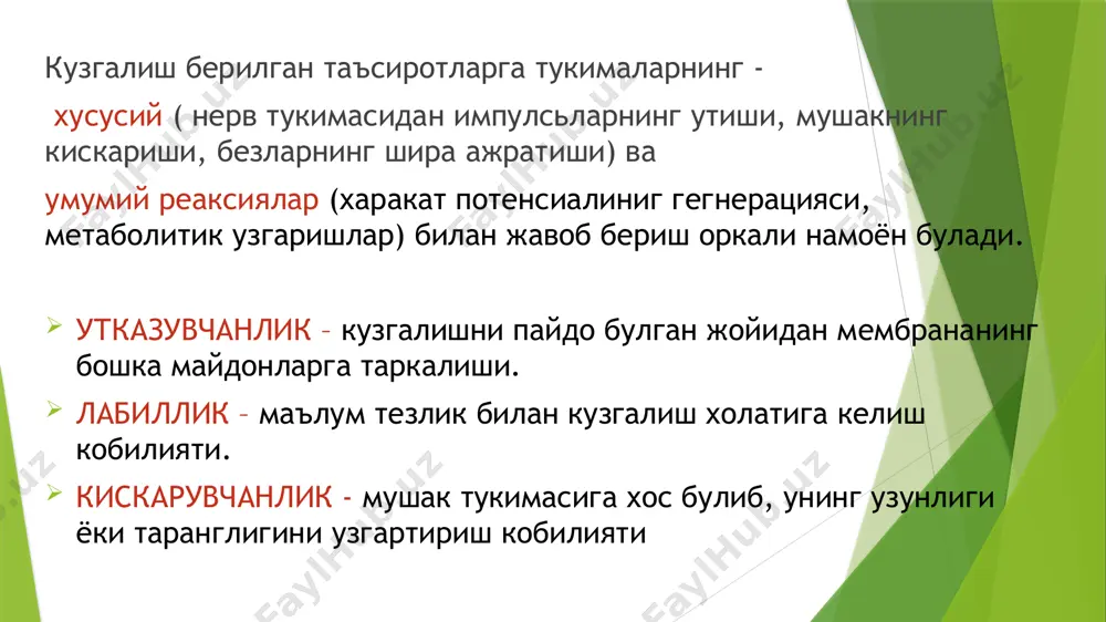отенциали таъсир натижасида хужайра мембранаси буйлаб харакатланувчи кузгалиш тулкини. узига хос хусусиятлари: факат кузгалувчан тукималар учун хос. киска вакт давом этади. таъсир мембрана буйлаб сунмасдан утказилади. хп вактида тинчлик потенциали юколади. ион каналлари мембрана оксиллари хисобига ионлар харакатланиши учун хосил булган тузилмалар ион каналлари дейилади. дарвозасиз каналлар – хар доим очик булади. шу сабабли мембрана потенциали -70 дан -90 оралигида узгариб туради. дарвозали каналлар механик дарвозали лиганд дарвозали волтаж дарвозали доим ёпик булади стимул берилса очилади. механик дарвозали каналлар температура босим ёруглик тактил товуш лиганд дарвозали каналлар кимёвий моддалар келиб ион каналига бирикиши натижасида очилади. бу моддалар лигандлар деб аталади. ташки лигандлар: ацетилхолин (ах) гаммааминимой кислота (гамк) адреналин норадреналин ва х.к ички лигандлар ташки лигандлар хисобига ишга тушади. хужайра таркибида протеинкиназани фаоллаштиради. протеинкиназалар хужайрага метаболик таъсир курсатади. ички лигандлар: samf, sgmf atf g-oqsil ca волтаж дарвозали каналлар ионлар нисбати узгарганда очилади. ионлар нисбатини сезувчи сенсор кисми бор. харакат потенциалини бутун …