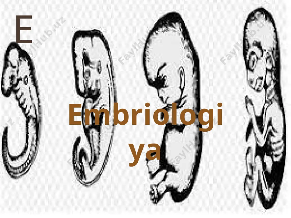 biologiyada alifbo metodi - Page 5