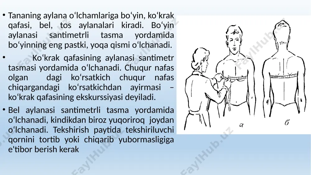 antropometriya - Page 5