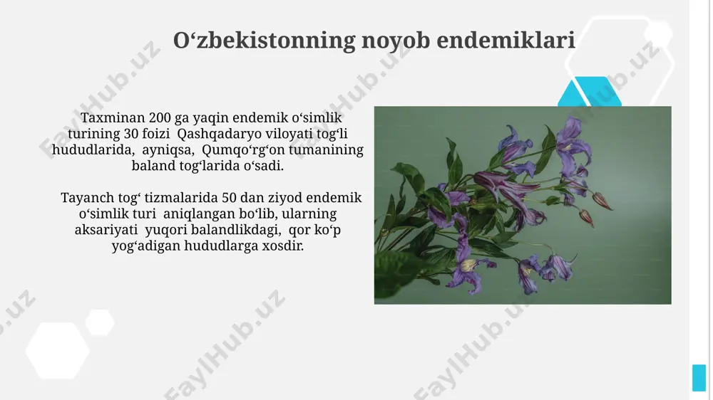 o‘zbekiston florasi endemlari - Page 4