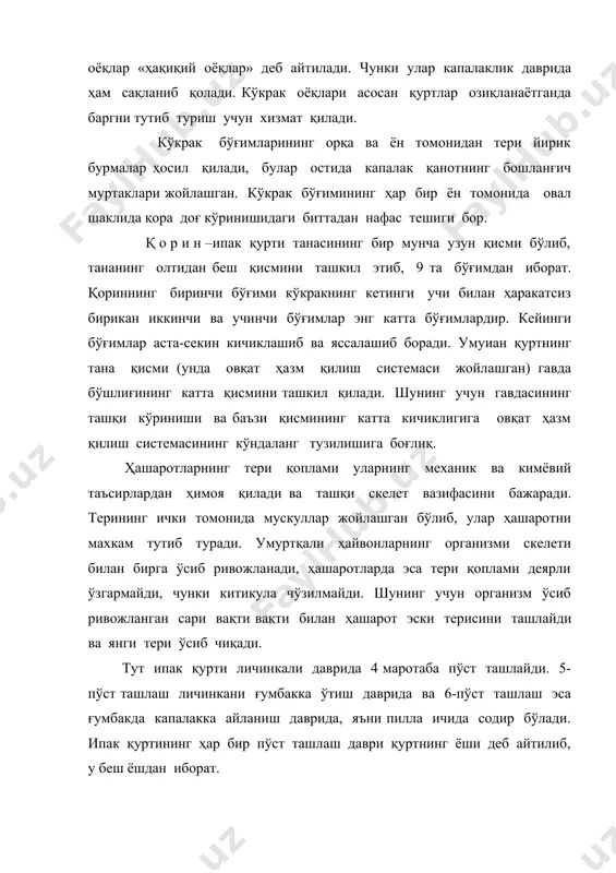 т- терининг устки қатлами бўлиб, гиподерманмнг маҳсули ҳисобланади ва у ҳужайравий тузилишга эга эмас. кутикула ҳам ўз навбатида учта қават: ташқи- э п и к у т и к у л а, ўрта-э к з о к у т и к у л а ва остки- э н д о к у т и к у л а д а н иборат. эпикутикула жуда юпқа, ёғсимон аралашма ва мумсимон моддалар- кутикулиндан иборат бўлиб, қуртни ташқи таъсирлардан сақлайди. у сув ўтказмайди, кислота ва ишқор эритмаларидан таъсирланмайди. шунингдек бир мунча чўзилаш имконига эга. экзокутикула бироз қалин бўлиб, кутикулин, мелонин вахитин моддалардан тузилган. бу қаватнинг таркиби унинг бир мунча мустаҳкам ва қаттиқ бўлишини таъминлаб, тананинг механик асоси вазифасини бажаради. эндокутикула қалин, мустаҳкам бўлиб, асосан эримайдиган оқсил моддалар аралашган хитиндан иборат. кутикула остки қаватининг тагида тирик ҳужайралар қавати-г и п о д е р м а ётади. бу ҳужайралар қавати китикула қаватларини ҳосил қиладиган …