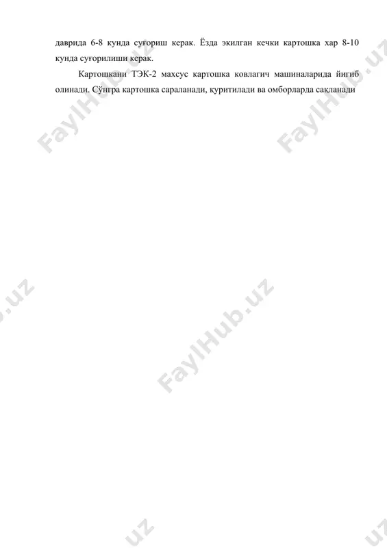 картошка экини - Page 5