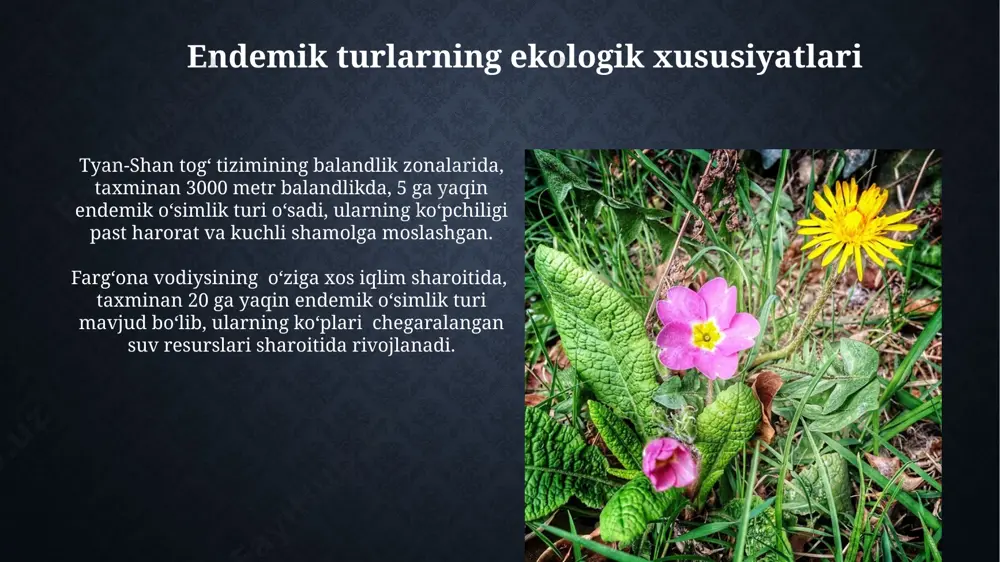 o'zbekiston florasidagi endemik turlar - Page 5