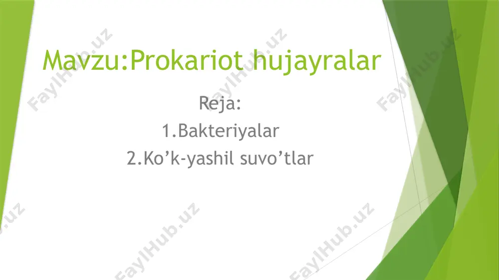 rqali:ichburug’,bo’g’ma,qoqshol kabi kasalliklarning oldi olinadi bakteriyalarning tabiatdagi ahamiyati bakteriyalarning foydali va zararli tomonlari mavjud foydali jihati:organik moddalarning parchalanishi,chirish,achish(sut mahsulotlarini tayyorlashda,bodring va karamlardan konserva tayyorlashda,yem hashak o’simliklaridan silos bostirishda,spirt,sirka olish,tola ajratishda) foydalaniladi avtotrof bakteriyalar o’zida organik modda to’playdi.buning uchun quyosh energiyasi va kimyoviy energiyadan foydalanadi tugunak bakteriyalar yiliga 1 ga yer maydonida 200 kg gacha azot to’plash xususiyatiga ega zararli jihati:odam,hayvon,o’simliklarda kasallik(parazit bakteriyalar),ozuqa mahsuloti tarkibini buzadi(saprofit bakteriyalar) ko’k-yashil suvo’tlar ular o’simliklar dunyosining eng qadimgi vakillari hisoblanadi ular bir hujayrali va koloniya hosil qiuvchi organzmlar bo’lib,ko’p hujayrali vakillari esa to’g’ri,bukilgan,spiralsimon shakllarda bo’lishi mumkin hujayrasida hilma xil pigmentkar uchraydi.ular orasida fikotsian va xlorofill pigmentlari ko’proq uchraydi yadro hamda organoidlari shakllanmagan hujayra po’sti-pectin hujayrasida fotosintez mahsuli sifatida oqsil donachalari to’planadi ko’payishi oddiy ikkiga bo’linish yo’li bilan boradi.ipsimon(ossilatoriya) vakillari gormagoniylar orqali ko’payadi ko’k-yashil suvo’tlarning bir hulayrali vakili xrokokk(chroccoccus) ko’k-yashil suvo’tlarning ipsimon vakili ossilatoriya(ossilatoria) ossilatoriya oddiy ipsimon,shilimshiq pardasi yo’q.eni bo’yidan bir nechamarta kata. ipi tanasi bo’ylab …
