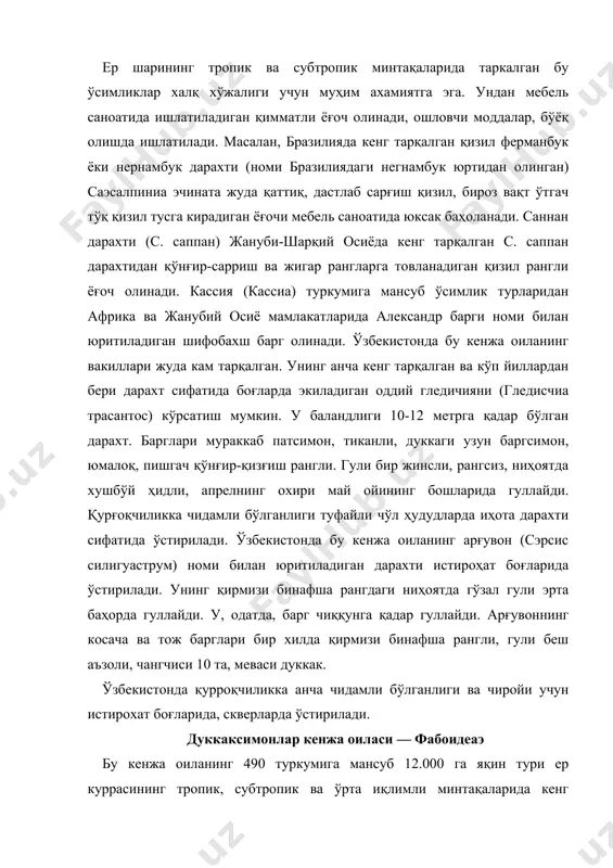 клидаги бу ўсимликларнинг барги патсимон, панжасимон, мураккаб ёки оддий, ёнбаргли. гули зигоморф, қўш жинсли, беш аъзоли, ўзгармас структурали, косачаси 5 та туташ барглардан шаклланган. тож барглари 5 та (усткиси байроқча, икки ён томонидан елкан ва иккита пасткиси қайиқчани эслатади), чангчиси 10 та. дуккакли ўсимликларнинг туркумлари орасидаги ўзаро фарқини аниқлаш учун чангчисини тузилиши муҳим аҳамиятга эга. айрим туркумлар вакилларининг чангчиси туташ эмас, 10 та чангчининг ҳар бири алоҳида-алоҳида эркин ҳолда жойлашган (сопҳора, тҳермопсис), бошқаларида барчаси туташиб чанг найини ҳосил қилади. уруғчиси шу най ичида жойлашган (лупинус) бўлади. ва, ниҳоят, кўпчилик туркумларда чангчисининг 9 таси туташ, 1 таси алоҳида (писум, медиcаго, виcиа, латҳйрус ва бошқалар) жойлашган. уруғчиси битта мева баргидан шаклланган. тугунчаси устки, бир уйли. дуккаклиларнинг систематик белгиларини бир-биридан фарқ қилишда уларнинг мевасининг тузилиши муҳим аҳамият касб этади. дуккаклар ўз тузилишига кўра икки паллага ажраладиган (мош, нўхат, бурган, ловия) кўп уруғли, бир уруғи қисмларга ажраладиган (коронелла) ёки бир уруғли меваси очилмайдиган (онобрйчис) …