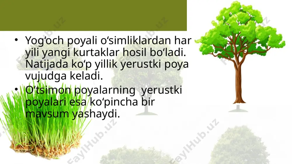 poyalarning xilma-xilligi. 6 - sinf - Page 4