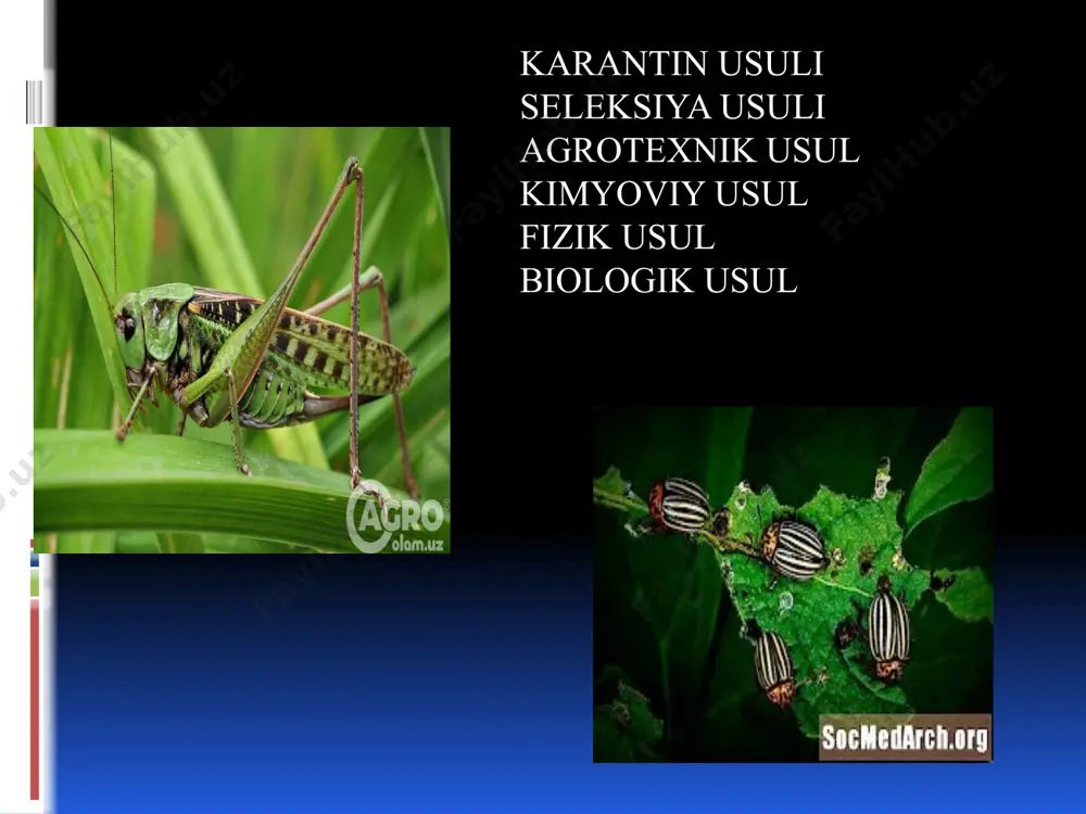 agrokimyo va agrotuproqshunoslik yo’nalishi - Page 5
