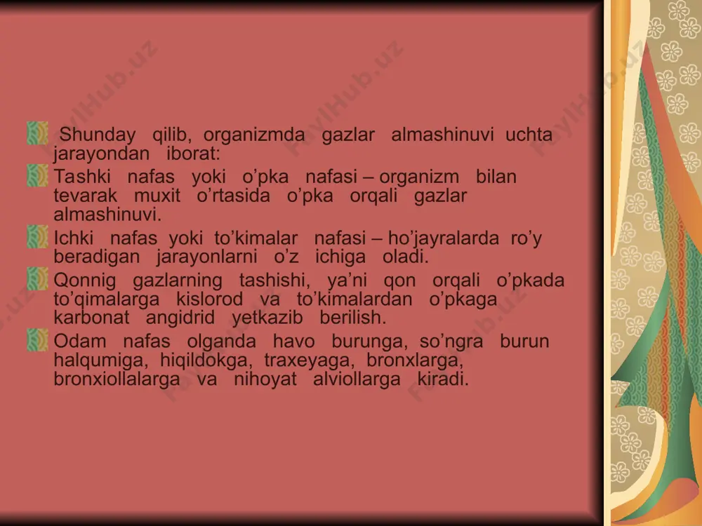 boradi va 13 yoshidan keyin ancha tezlashadi. bronxlar mayda bronxlarga, o’ndan so’ng esa bronxiollarga bo’linib, xar bir bronx bronx daraxtini hosil qiladi. bronxiollalar tarmoqlanib, oxiridi o’pka hujayralari alviollalar bilan tugaydi. o’pka – ko’krak qafasining tegishli yarmida joylashgan bo’lib, o’ng va chap o’pkadan iborat bo’ladi. 0020 ar bir o’pka konussimon bo’lib, o’stki qismi uchi, pastki kismi esa asosi deyiladi. bolalarning yoshi o’rta boshlashi bilan o’pkaning og’irligi va xajmi ortib boradi. yangi tug’ilgan bolalarda ikki o’pkaning og’irligi 50 – 57 g, 1 – 2 yoshda 225 g., 5 – 6 yoshda 350 g., 9 – 10 yoshda 395 g., 15 – 16 yoshda 690 – 700 g., kattalarda esa 1000 g. bo’ladi. o’pka xajmi yangi tug’ilgan bolalarda 70 sm3 , 1 yoshda 270 sm3, 8 yoshda 640 sm3, 12 yoshda 680 sm3, katta odamlarda esa 1400 sm3 bo’ladi. o’pkaning o’sishi asosan alviolla hujayralarining ortib borishi hisobiga bo’ladi. bu nafasi va gaz almashinuviga …